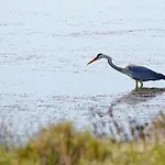 Prázdninový dům Atypique Au Bord De L'eau Metairies-Saint-Quirin
