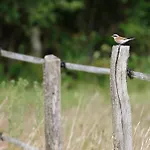 Atypique Au Bord De L'eau * Metairies-Saint-Quirin
