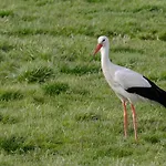 Atypique Au Bord De L'eau Prázdninový dům