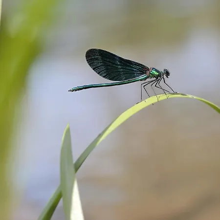 Unusual Hideaway In Lorraine Prázdninový dům