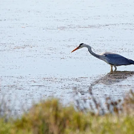 펜션 Atypique Au Bord De L'eau Metairies-Saint-Quirin