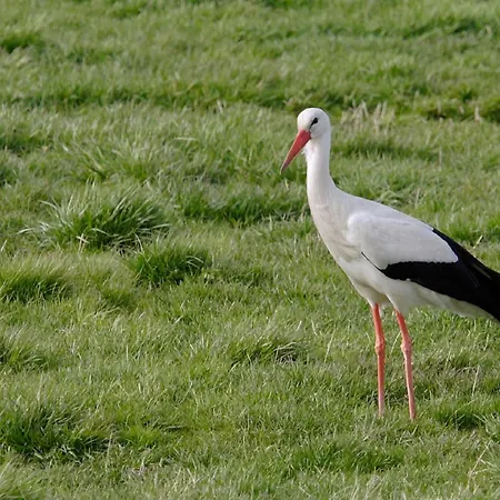 Atypique Au Bord De L'eau 펜션