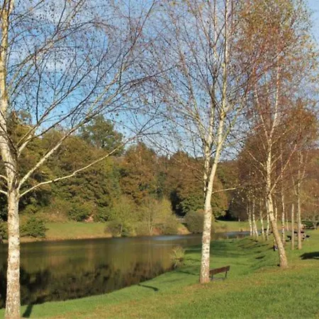 Waterfront With Pond Holiday home Metairies-Saint-Quirin