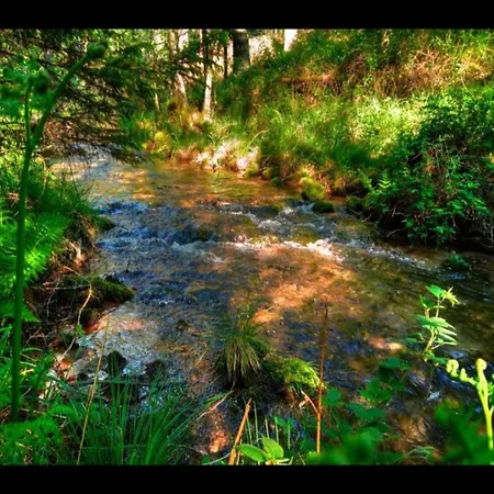 Unusual Hideaway In Lorraine Hébergement de vacances *