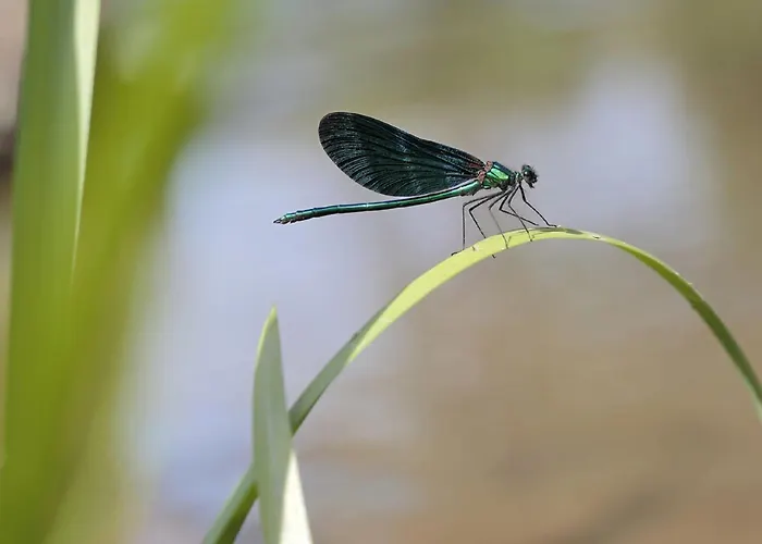 Atypique Au Bord De L'eau Ferienhaus