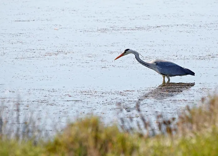 Ferienhaus Atypique Au Bord De L'eau Metairies-Saint-Quirin