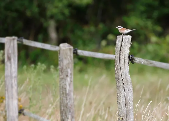 Unusual Hideaway In Lorraine * Metairies-Saint-Quirin