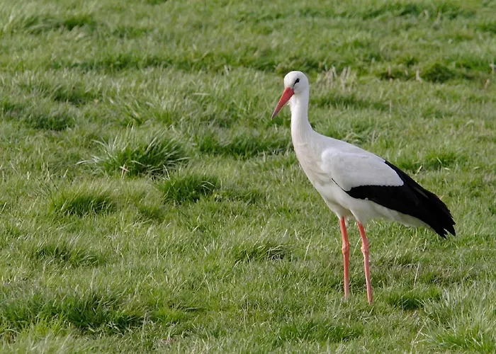 Atypique Au Bord De L'eau Ferienhaus